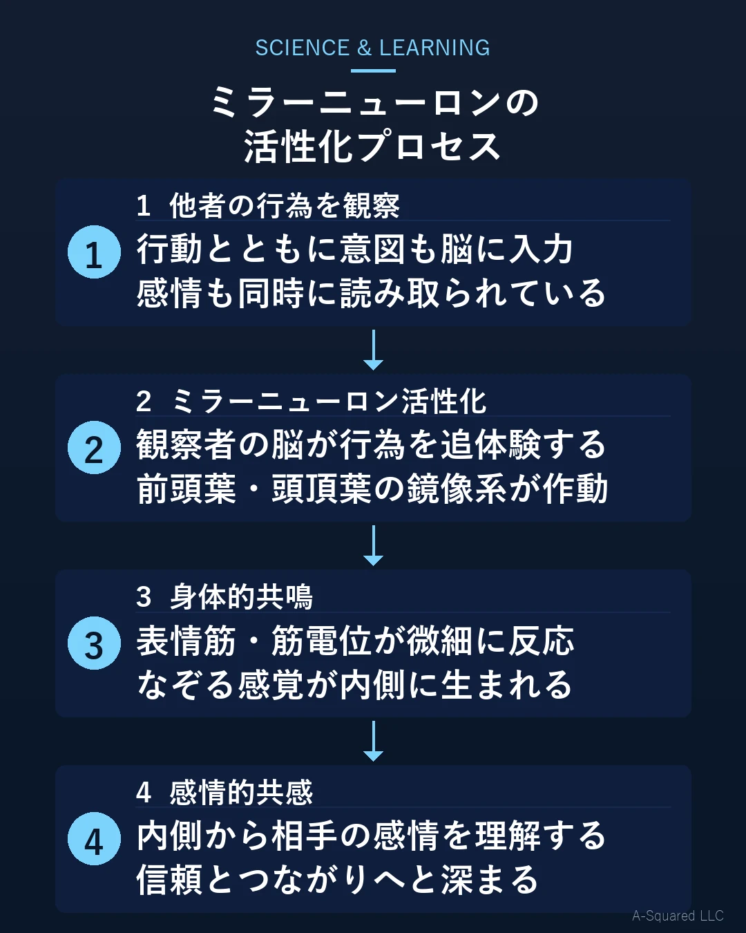 ミラーニューロンの活性化プロセス：他者の行為を観察→ミラーニューロン活性化→身体的共鳴→感情的共感の4ステップ図