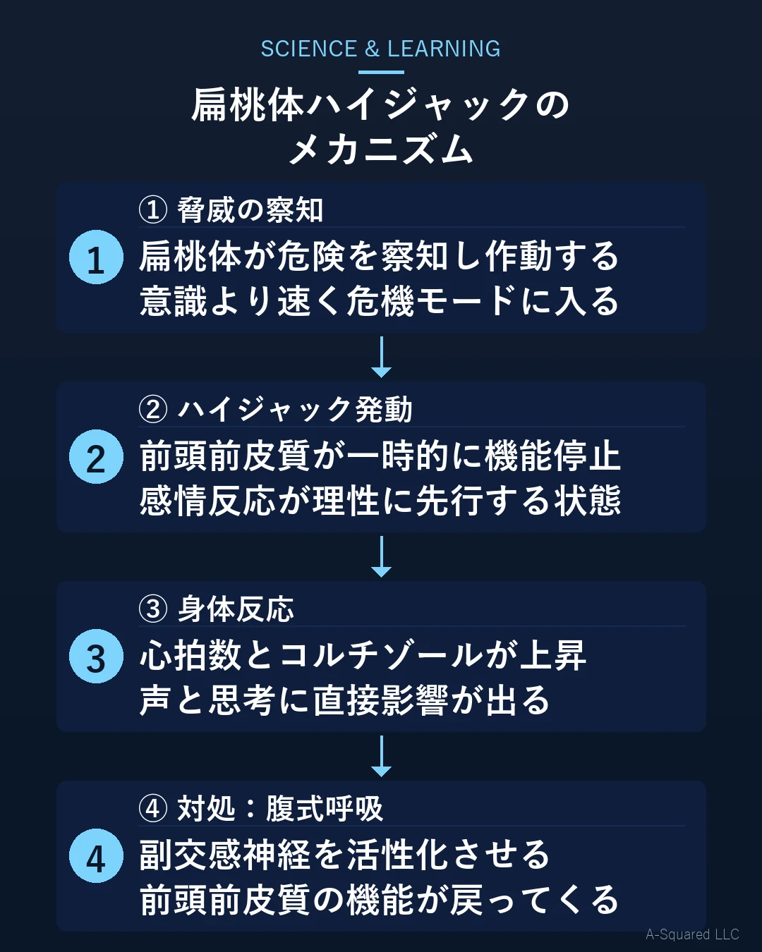 扁桃体ハイジャックのメカニズム：脅威の察知→ハイジャック発動→身体反応→腹式呼吸による対処の4ステップ図